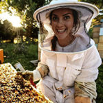 Полезные советы для начинающего пчеловода